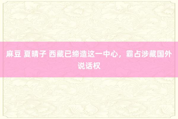 麻豆 夏晴子 西藏已缔造这一中心，霸占涉藏国外说话权