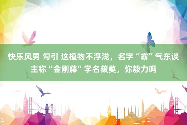 快乐风男 勾引 这植物不浮浅，名字“霸”气东谈主称“金刚藤”学名菝葜，你毅力吗