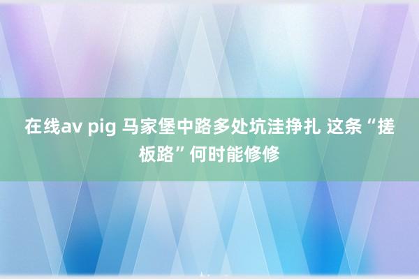 在线av pig 马家堡中路多处坑洼挣扎 这条“搓板路”何时能修修