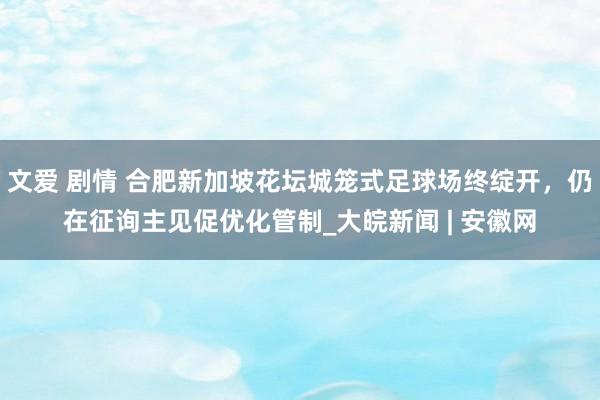 文爱 剧情 合肥新加坡花坛城笼式足球场终绽开，仍在征询主见促优化管制_大皖新闻 | 安徽网