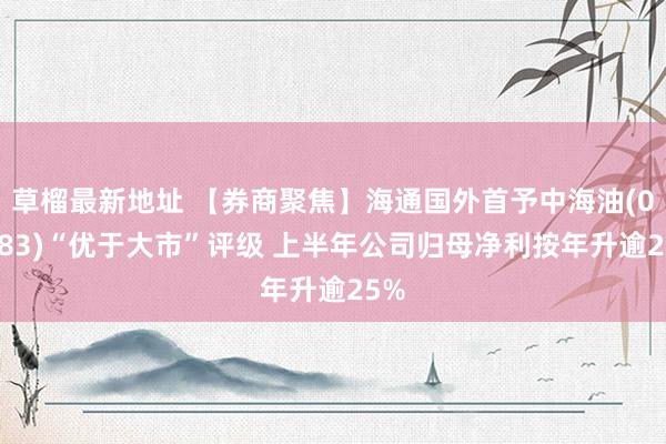 草榴最新地址 【券商聚焦】海通国外首予中海油(00883)“优于大市”评级 上半年公司归母净利按年升逾25%