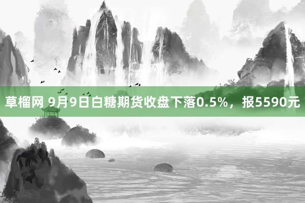 草榴网 9月9日白糖期货收盘下落0.5%，报5590元
