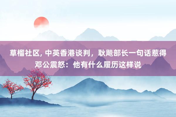 草榴社区， 中英香港谈判，耿飚部长一句话惹得邓公震怒：他有什么履历这样说
