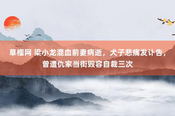 草榴网 梁小龙混血前妻病逝，犬子悲痛发讣告，曾遭仇家当街毁容自裁三次
