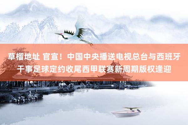 草榴地址 官宣！中国中央播送电视总台与西班牙干事足球定约收尾西甲联赛新周期版权逢迎