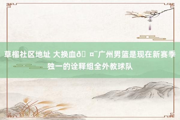 草榴社区地址 大换血🤨广州男篮是现在新赛季独一的诠释组全外教球队