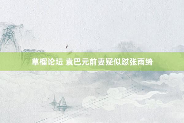 草榴论坛 袁巴元前妻疑似怼张雨绮