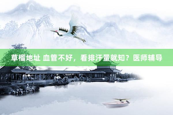 草榴地址 血管不好，看排汗量就知？医师辅导