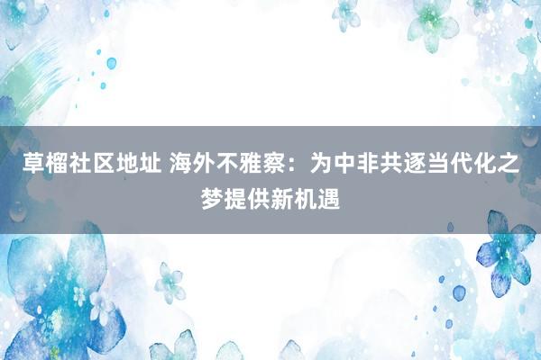 草榴社区地址 海外不雅察：为中非共逐当代化之梦提供新机遇