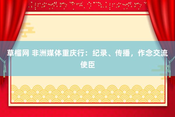 草榴网 非洲媒体重庆行：纪录、传播，作念交流使臣