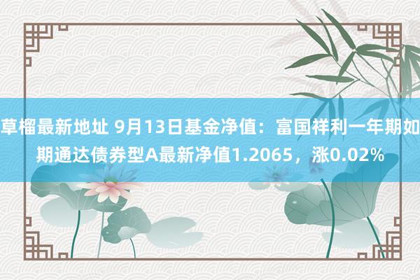 草榴最新地址 9月13日基金净值：富国祥利一年期如期通达债券型A最新净值1.2065，涨0.02%