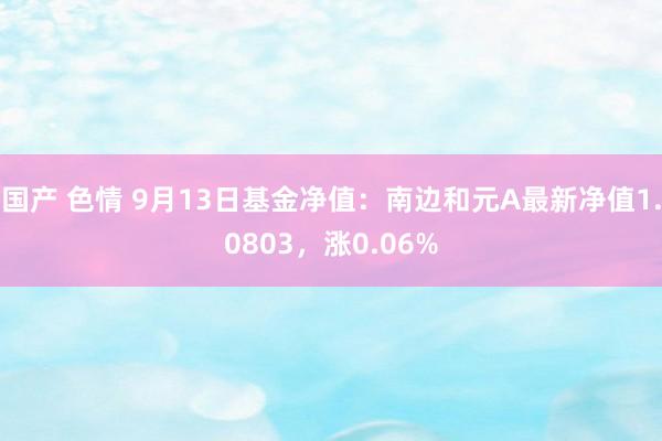 国产 色情 9月13日基金净值：南边和元A最新净值1.0803，涨0.06%