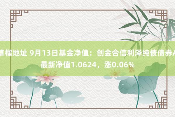 草榴地址 9月13日基金净值：创金合信利泽纯债债券A最新净值1.0624，涨0.06%
