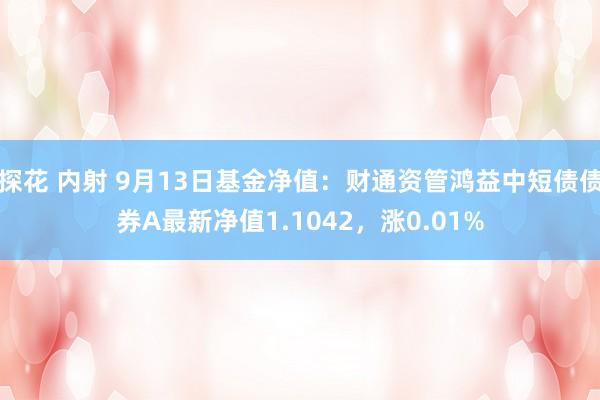 探花 内射 9月13日基金净值：财通资管鸿益中短债债券A最新净值1.1042，涨0.01%
