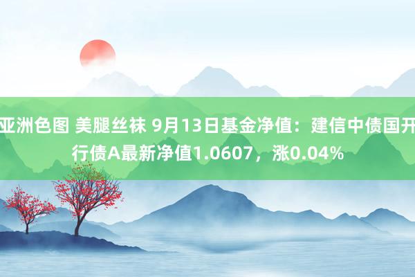 亚洲色图 美腿丝袜 9月13日基金净值：建信中债国开行债A最新净值1.0607，涨0.04%