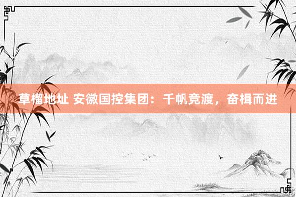 草榴地址 安徽国控集团：千帆竞渡，奋楫而进