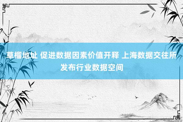草榴地址 促进数据因素价值开释 上海数据交往所发布行业数据空间