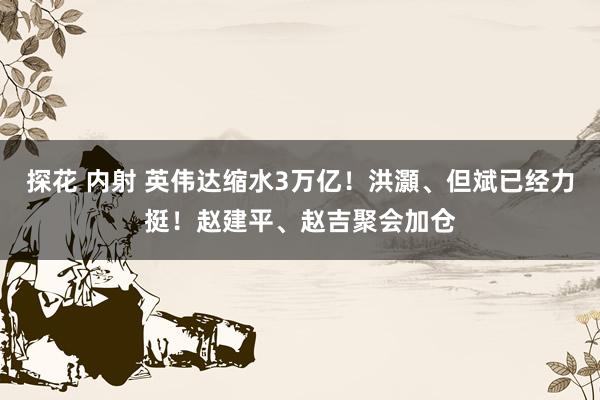 探花 内射 英伟达缩水3万亿！洪灝、但斌已经力挺！赵建平、赵吉聚会加仓