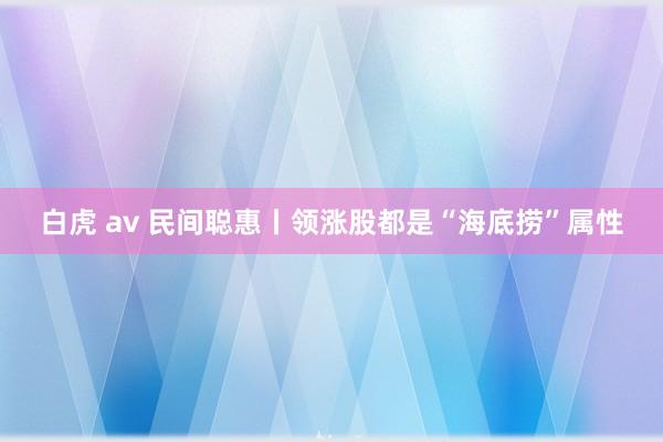白虎 av 民间聪惠丨领涨股都是“海底捞”属性