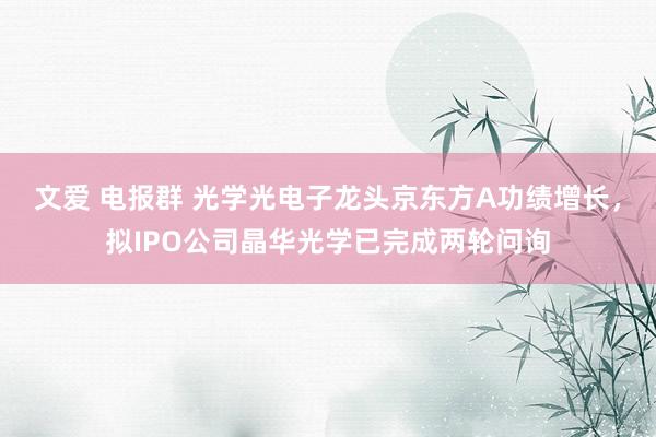 文爱 电报群 光学光电子龙头京东方A功绩增长，拟IPO公司晶华光学已完成两轮问询