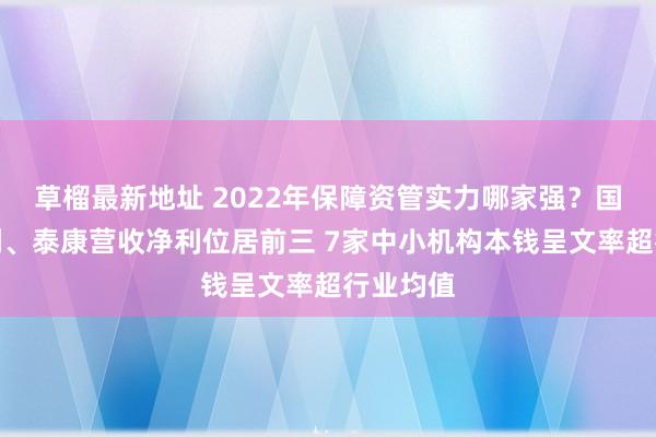 草榴最新地址 2022年保障资管实力哪家强？国寿、吉利、泰康营收净利位居前三 7家中小机构本钱呈文率超行业均值
