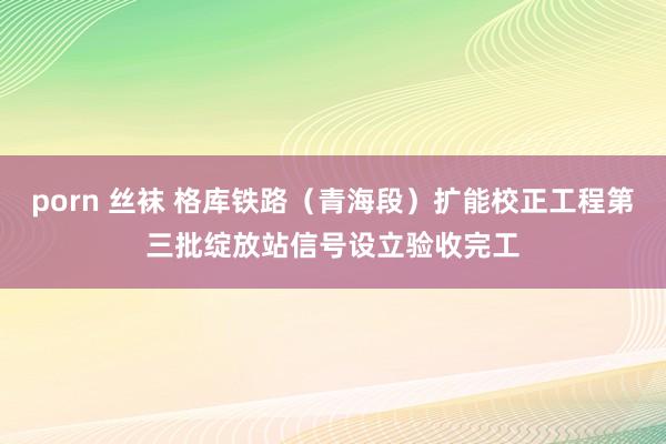 porn 丝袜 格库铁路（青海段）扩能校正工程第三批绽放站信号设立验收完工