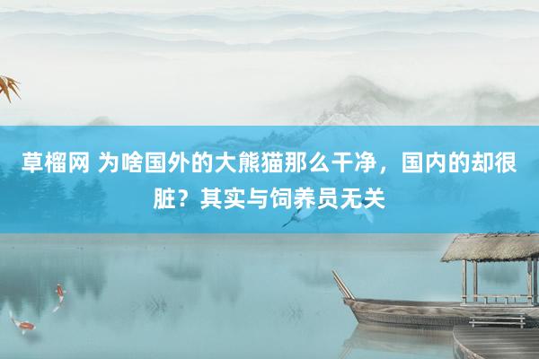 草榴网 为啥国外的大熊猫那么干净，国内的却很脏？其实与饲养员无关