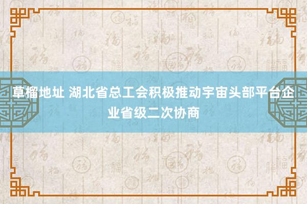草榴地址 湖北省总工会积极推动宇宙头部平台企业省级二次协商