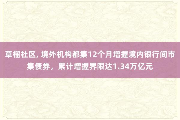草榴社区， 境外机构都集12个月增握境内银行间市集债券，累计增握界限达1.34万亿元