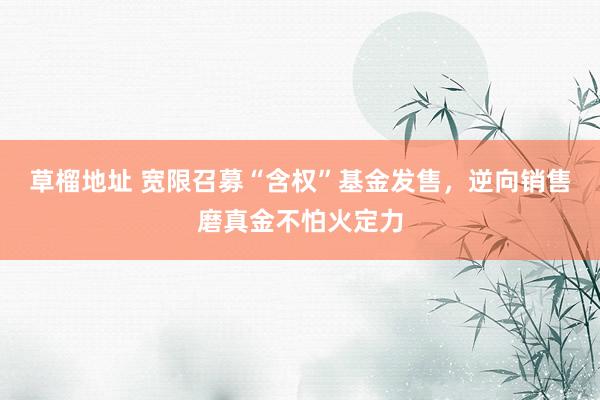 草榴地址 宽限召募“含权”基金发售，逆向销售磨真金不怕火定力