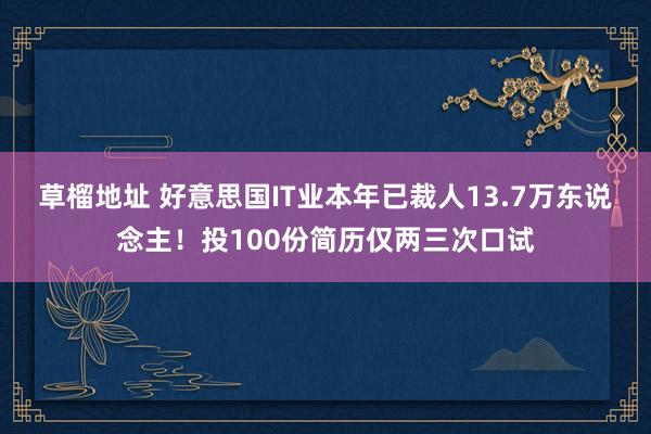 草榴地址 好意思国IT业本年已裁人13.7万东说念主！投100份简历仅两三次口试