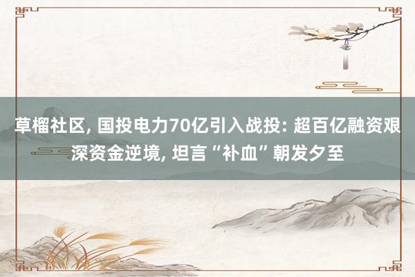 草榴社区， 国投电力70亿引入战投: 超百亿融资艰深资金逆境， 坦言“补血”朝发夕至