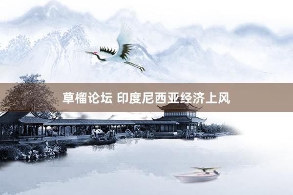草榴论坛 印度尼西亚经济上风