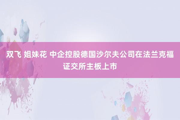 双飞 姐妹花 中企控股德国沙尔夫公司在法兰克福证交所主板上市
