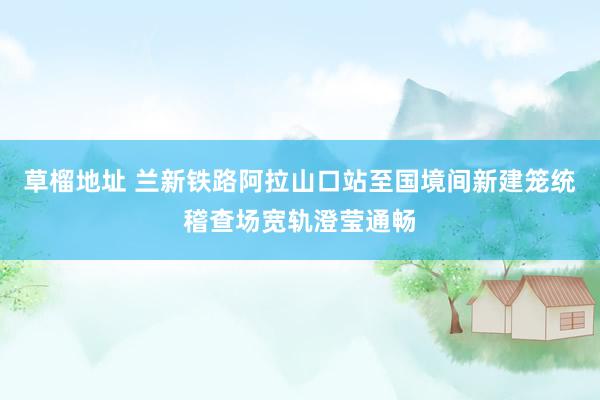 草榴地址 兰新铁路阿拉山口站至国境间新建笼统稽查场宽轨澄莹通畅