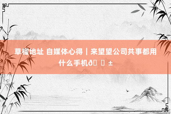 草榴地址 自媒体心得|来望望公司共事都用什么手机📱