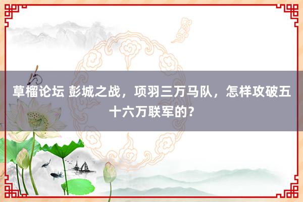 草榴论坛 彭城之战，项羽三万马队，怎样攻破五十六万联军的？
