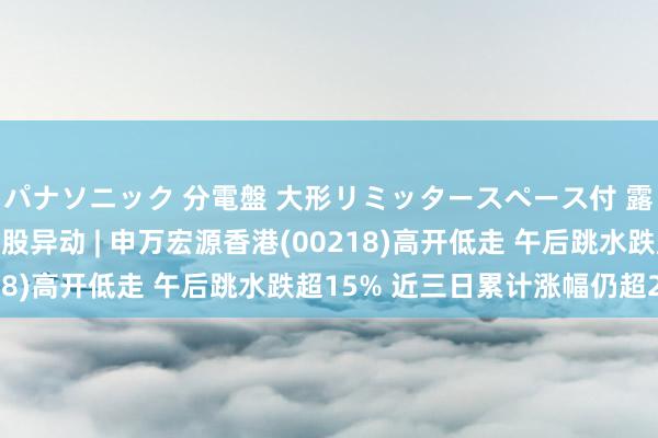 パナソニック 分電盤 大形リミッタースペース付 露出・半埋込両用形 港股异动 | 申万宏源香港(00218)高开低走 午后跳水跌超15% 近三日累计涨幅仍超2倍