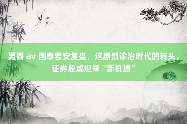 男同 av 国泰君安复盘，这剧烈诊治时代的转头，证券股或迎来“新机遇”