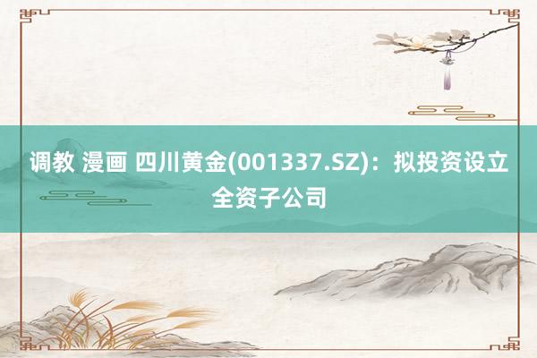 调教 漫画 四川黄金(001337.SZ)：拟投资设立全资子公司