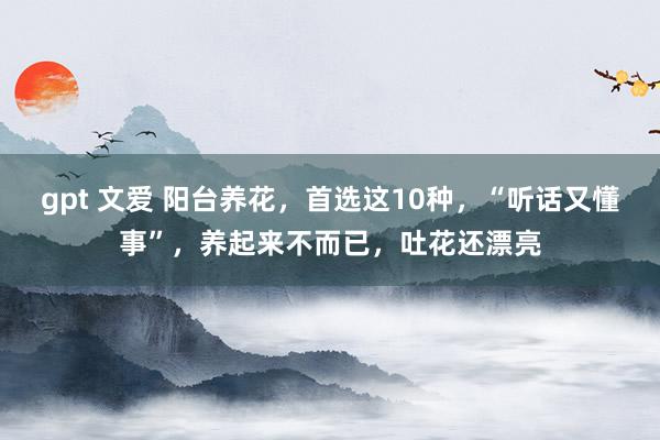 gpt 文爱 阳台养花，首选这10种，“听话又懂事”，养起来不而已，吐花还漂亮
