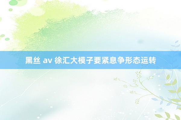 黑丝 av 徐汇大模子要紧息争形态运转
