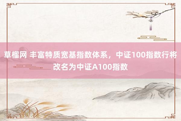 草榴网 丰富特质宽基指数体系，中证100指数行将改名为中证A100指数