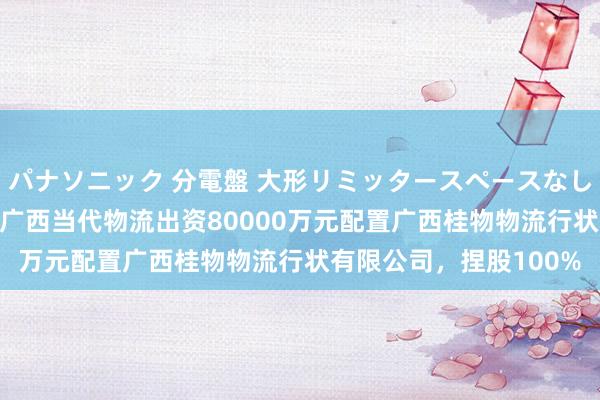 パナソニック 分電盤 大形リミッタースペースなし 露出・半埋込両用形 广西当代物流出资80000万元配置广西桂物物流行状有限公司，捏股100%