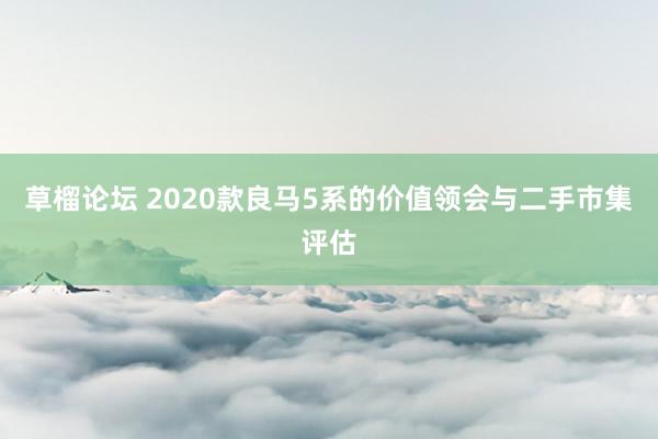草榴论坛 2020款良马5系的价值领会与二手市集评估