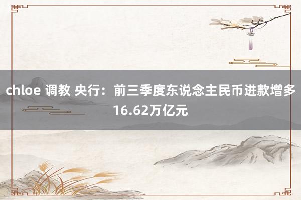 chloe 调教 央行：前三季度东说念主民币进款增多16.62万亿元