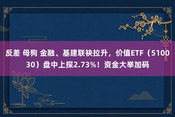 反差 母狗 金融、基建联袂拉升，价值ETF（510030）盘中上探2.73%！资金大举加码