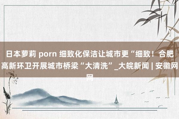 日本萝莉 porn 细致化保洁让城市更“细致！合肥高新环卫开展城市桥梁“大清洗”_大皖新闻 | 安徽网