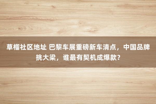 草榴社区地址 巴黎车展重磅新车清点，中国品牌挑大梁，谁最有契机成爆款？