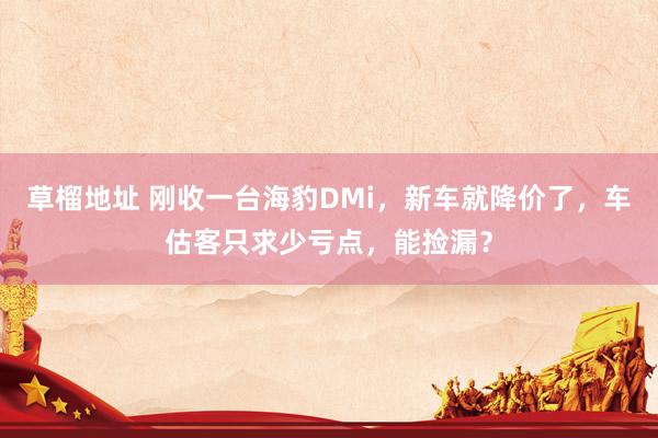 草榴地址 刚收一台海豹DMi，新车就降价了，车估客只求少亏点，能捡漏？